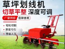 點(diǎn)擊查看詳細(xì)信息<br>標(biāo)題：草皮劃線(xiàn)機(jī) 閱讀次數(shù)：991